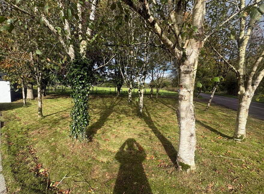 Teergay, Kilbarry, Macroom, P12KV00