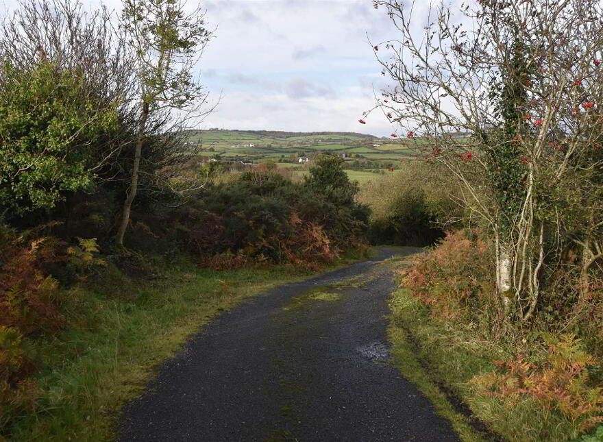 97 Mountain Road, Newtownards, BT23 4UL
