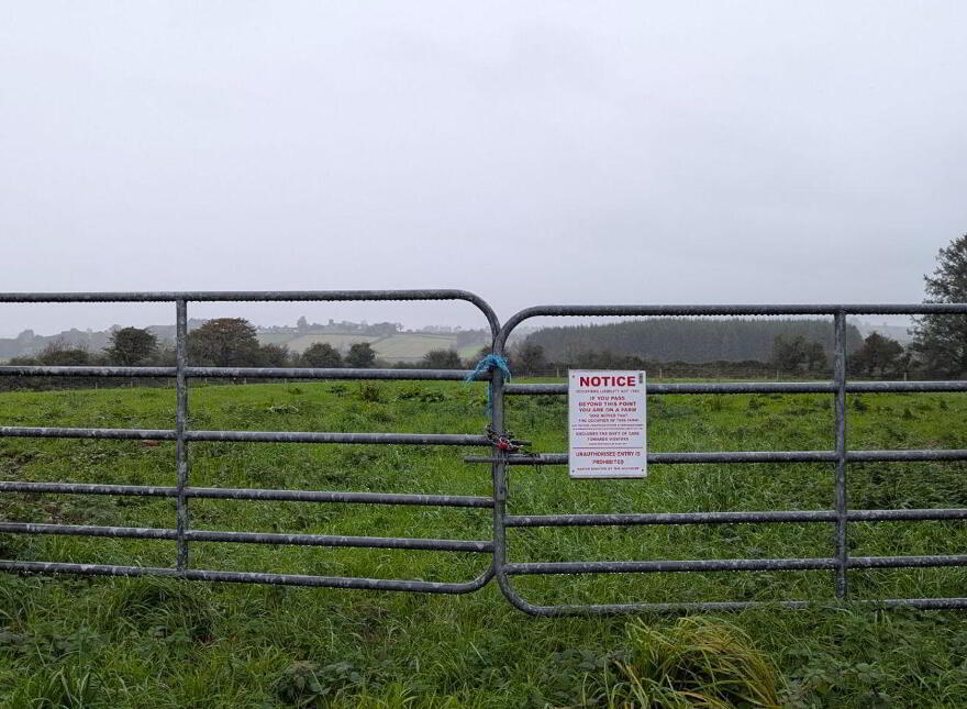 Tullyglass, Enniskeane, P47A585