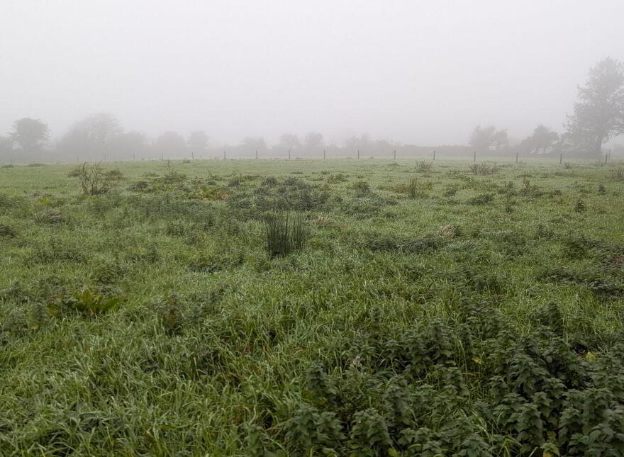 Tullyglass, Enniskeane