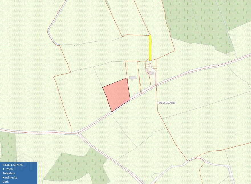 Tullyglass, Enniskeane, P47Y984