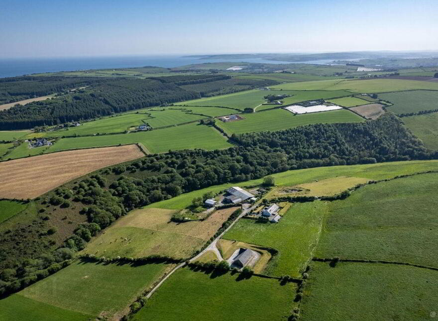 Gortnacrusha, Ballinspittle, P17NX04