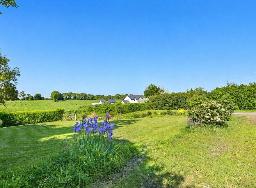 Sheepstown, Delvin, N91F9TW