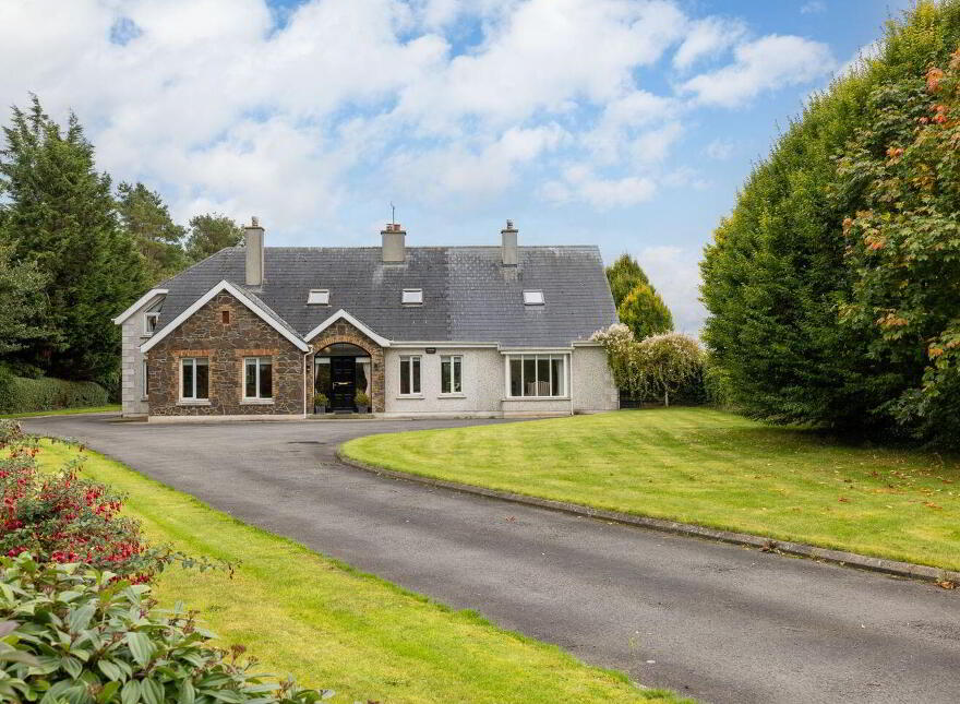 Heath, Grangemellon, Ballyroe, R14EK00 photo