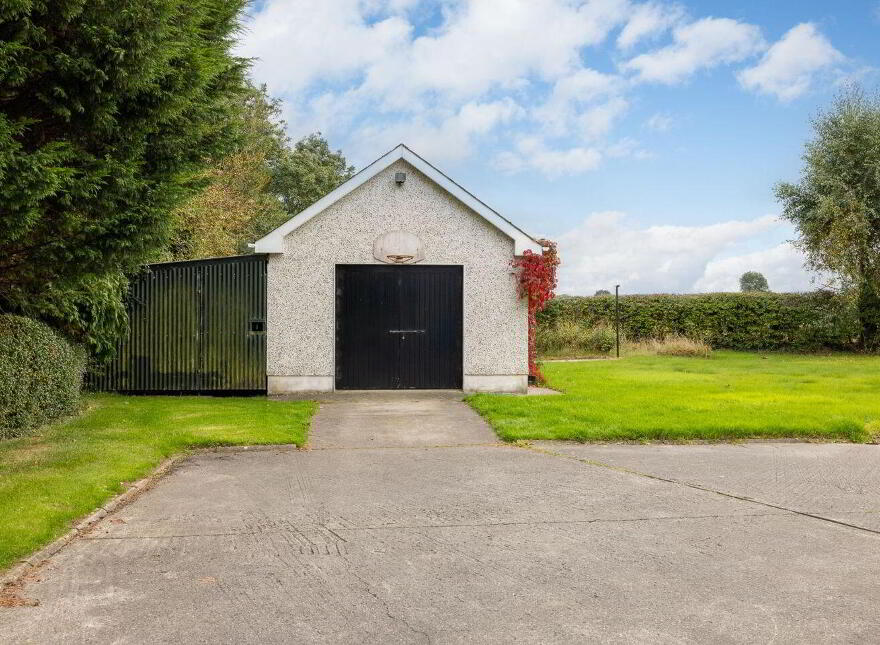 Heath, Grangemellon, Ballyroe, R14EK00