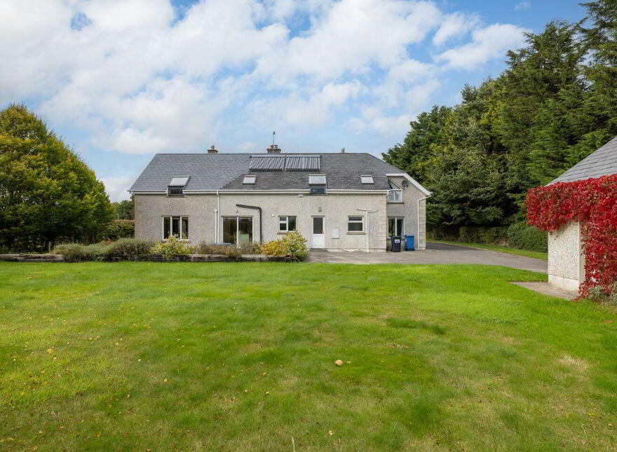 Heath, Grangemellon, Ballyroe, R14EK00