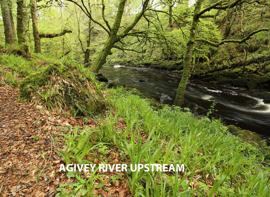 34 Brone Road, Garvagh, BT51 4EQ