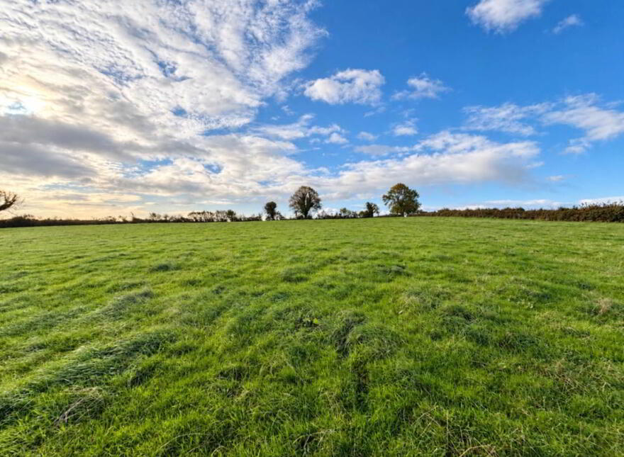 Lot 39.36 Acres), Grange, E45EE92