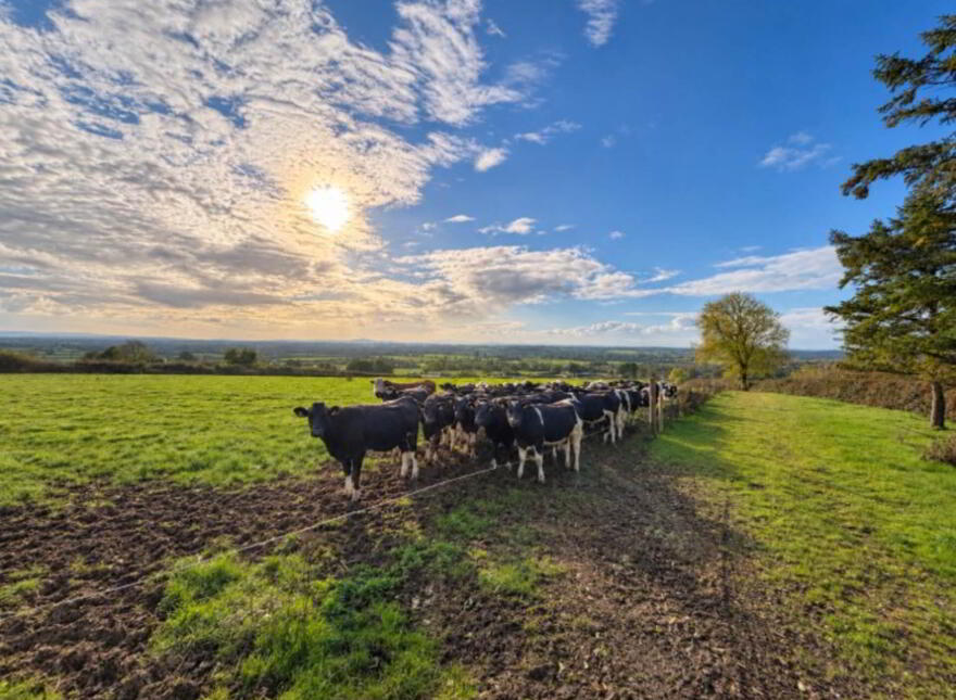 Lot 39.36 Acres), Grange, E45EE92