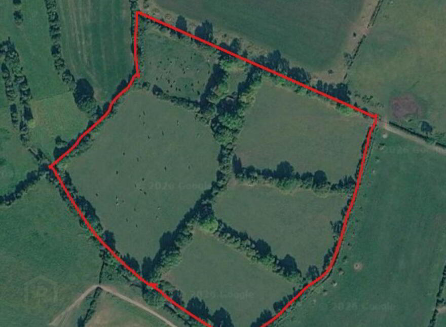 C. 5.70 Hectares (14 Acres), Killough, Templemore