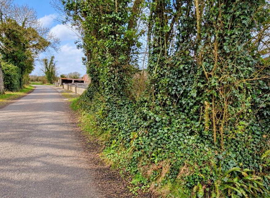 Belmont, Milltown