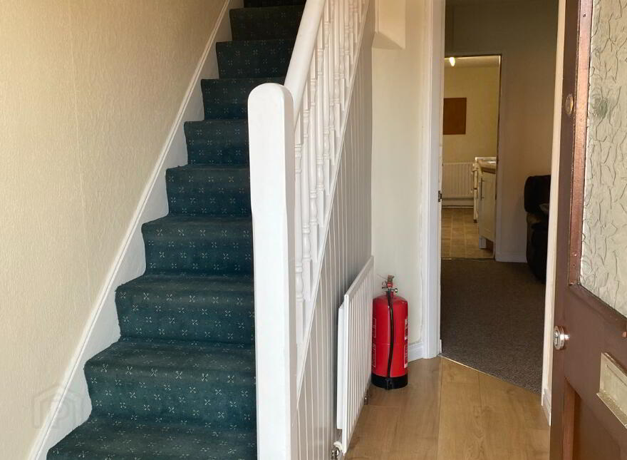 54 Lower Windsor Avenue, Belfast, BT9 7DX