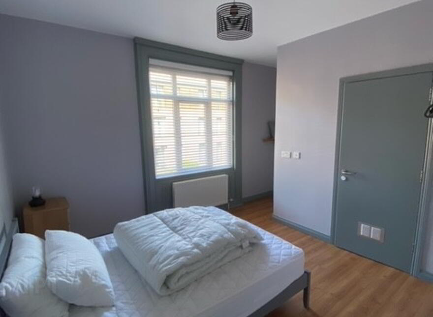 Great Accommodation, 54 Fitzroy Avenue, Queens University Quarter, Belfast, BT7 1HX