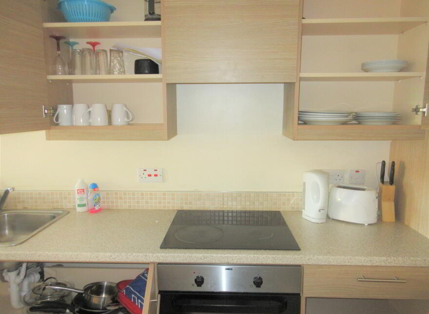 New Build Apartment, 165 University Street, Queens Quarter, Belfast, BT7 1HR