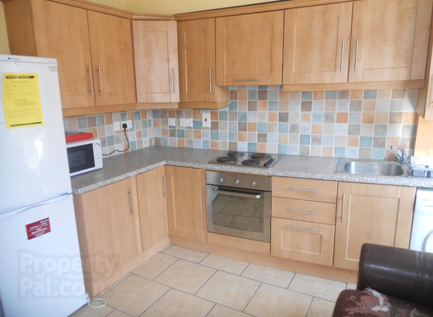 Great Apartment, 73b Agincourt Avenue, University Quarter, Belfast, BT7 1QA photo