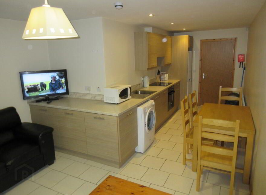 Great Apartment, 165e University Street, Queens Quarter, Belfast, BT7 1HR