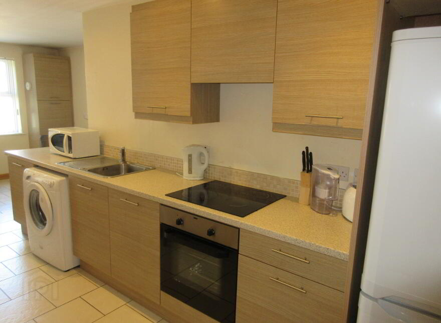 Great Apartment, 165e University Street, Queens Quarter, Belfast, BT7 1HR