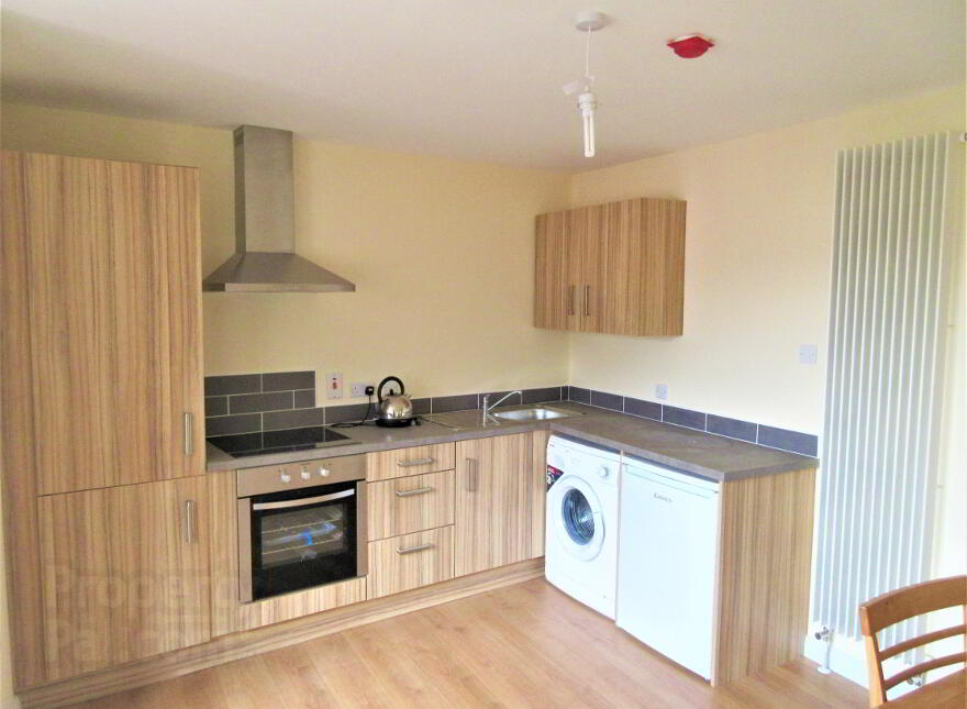 Great Apartment, 101a Rugby Avenue, Queens University Quarter, Belfast, BT7 1QA photo