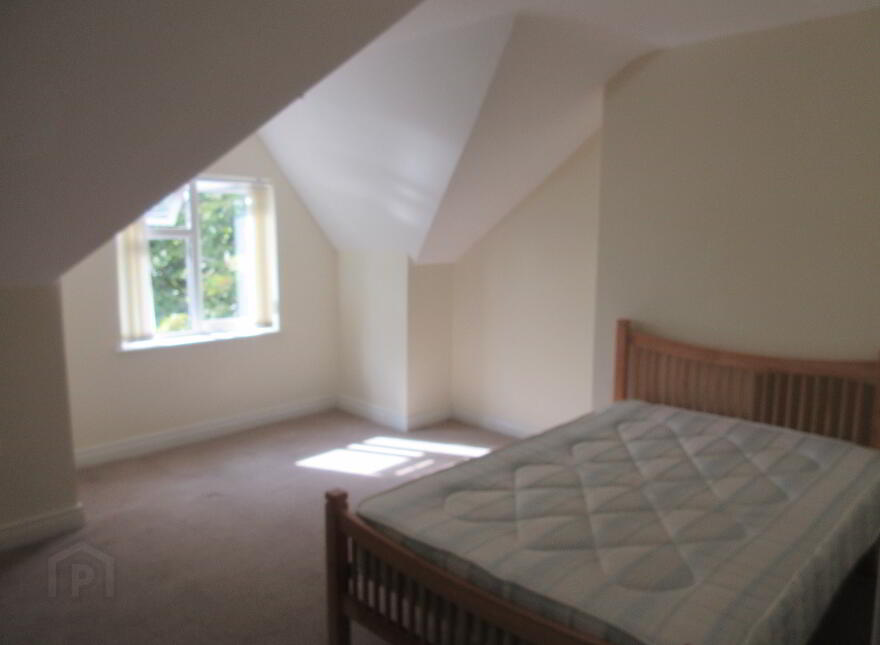 Great 5 Bedroom House, University Avenue, Queens Quarter, Belfast, BT7 1GY