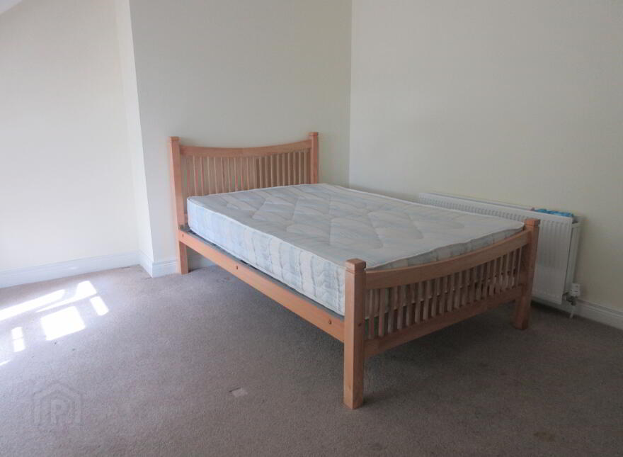 Great 5 Bedroom House, University Avenue, Queens Quarter, Belfast, BT7 1GY
