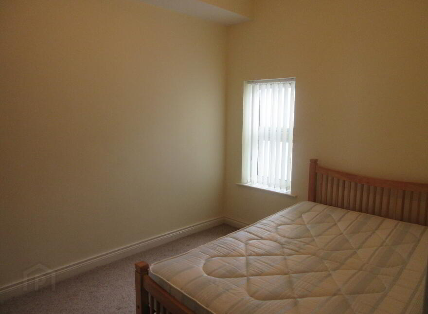 Great 5 Bedroom House, University Avenue, Queens Quarter, Belfast, BT7 1GY