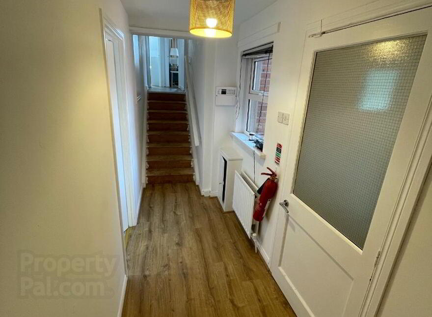 Unit 3, 59 Fitzwilliam Street, Belfast, BT9 6AX photo