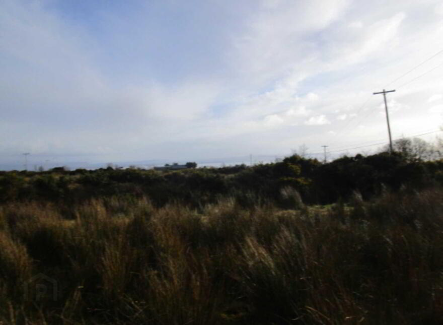Ballyargus, Redcastle