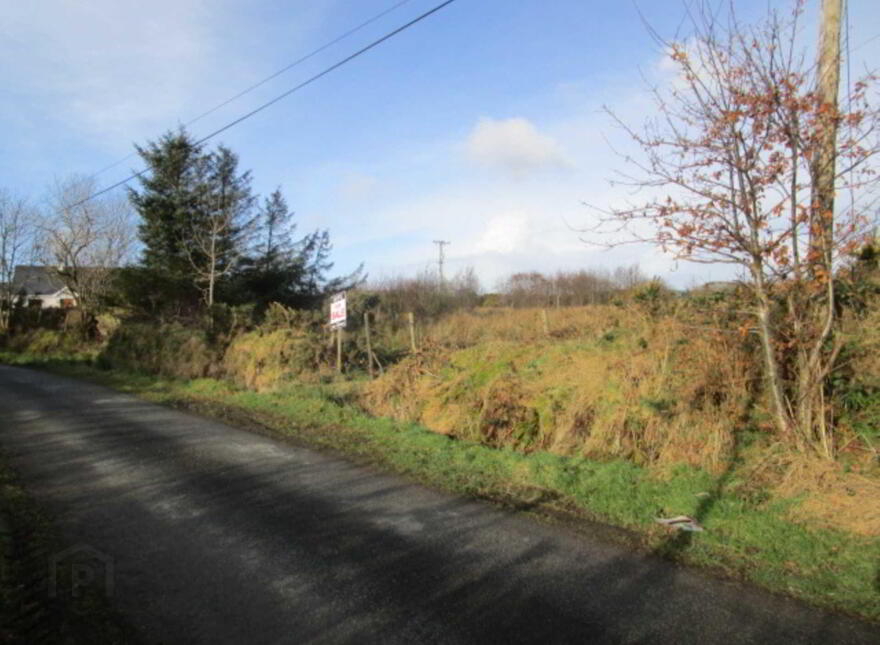 Ballyargus, Redcastle