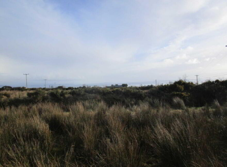 Ballyargus, Redcastle