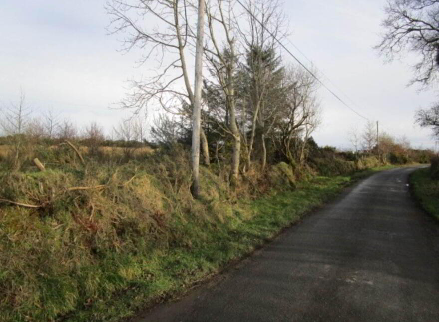 Ballyargus, Redcastle