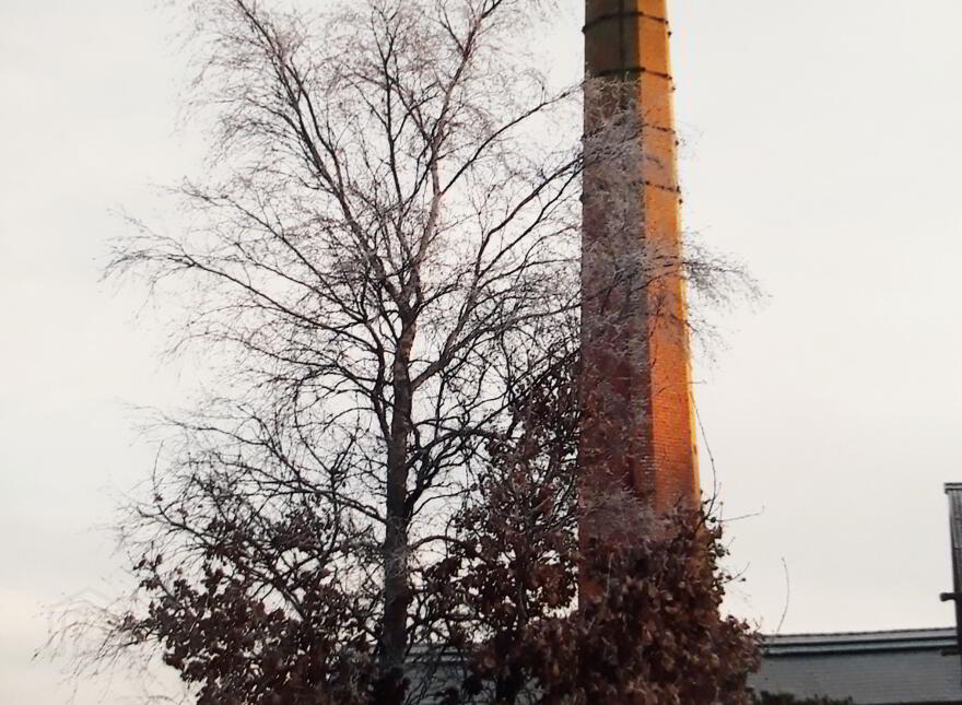 Former Dromona Mill Site, Dromona Lane, Cullybackey, BT42 1NT
