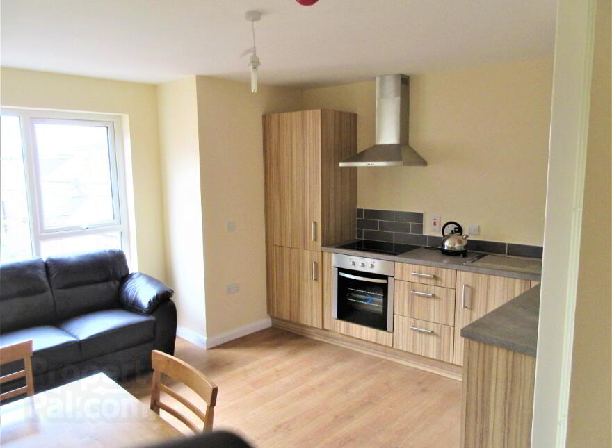 Great Apartment, 101a Rugby Avenue, Queens Quarter, Belfast, BT7 1RE photo
