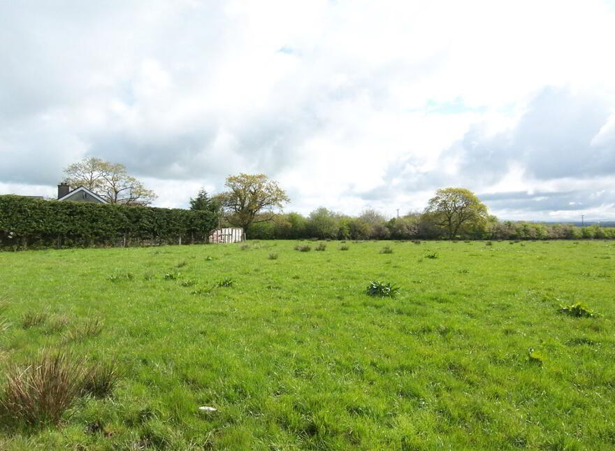 Site Adjacent To, 79 Rusky Park, Aghadowey, Coleraine, BT51 4DB