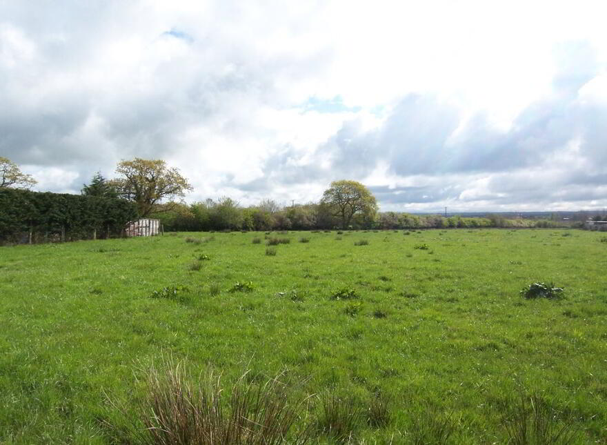 Site Adjacent To, 79 Rusky Park, Aghadowey, Coleraine, BT51 4DB
