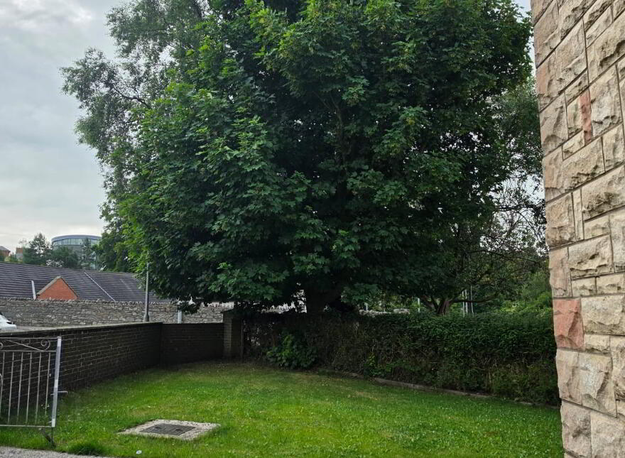 63 Ardmeen Green, Downpatrick, BT30 6JL
