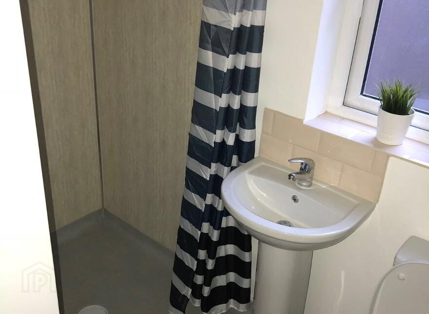 Room 7, 37 Magdela Street, Botanic, Belfast, BT7 1PV