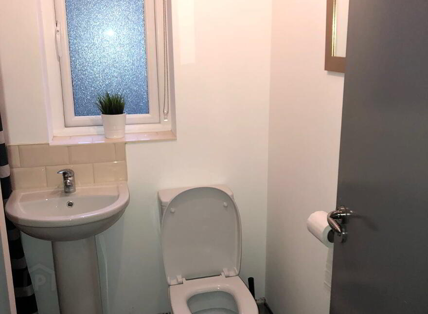 Room 7, 37 Magdela Street, Botanic, Belfast, BT7 1PV
