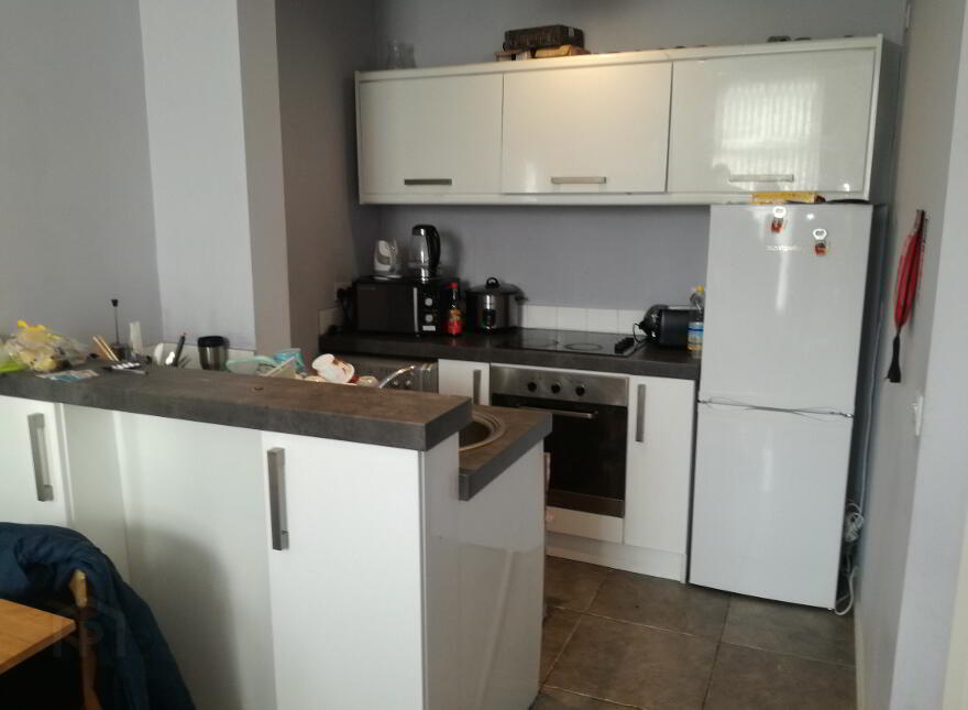 Apt 2, 7 Dunluce Avenue, Belfast, BT9 7AW