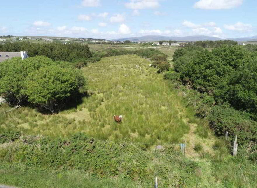 Meenmore, Dungloe