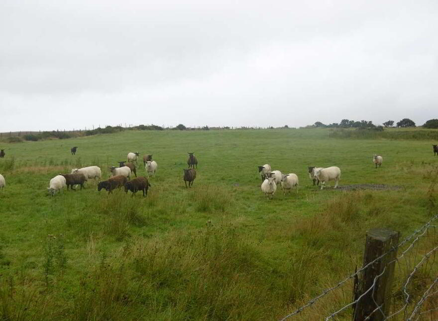 C.12 Acres At Boolahalla, Newcastle