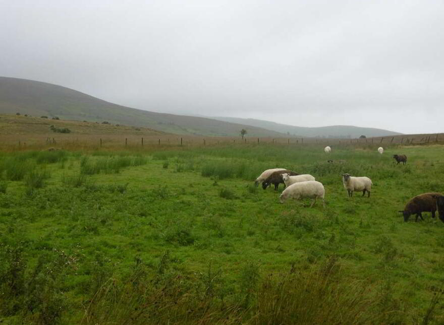 C.12 Acres At Boolahalla, Newcastle