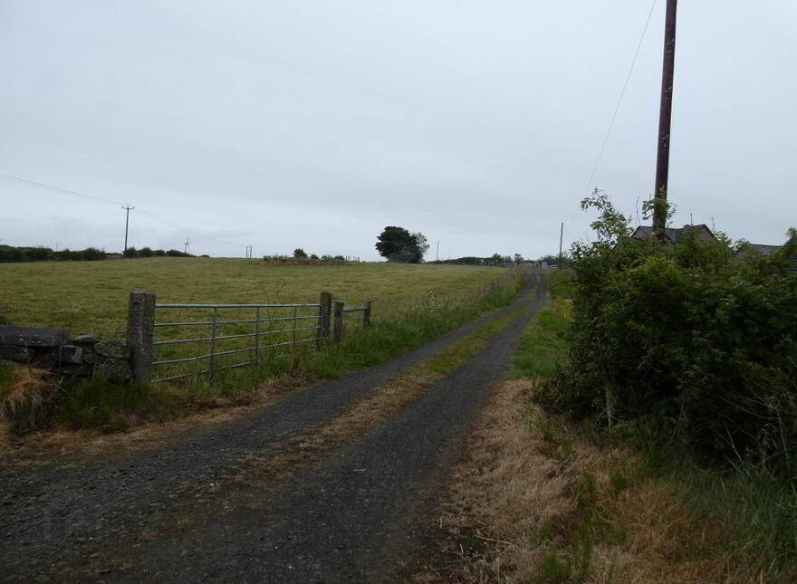 Site For Replacement Dwelling, 117 Castlecatt Road, Derrykeighan, Ballymoney, BT53 8AP