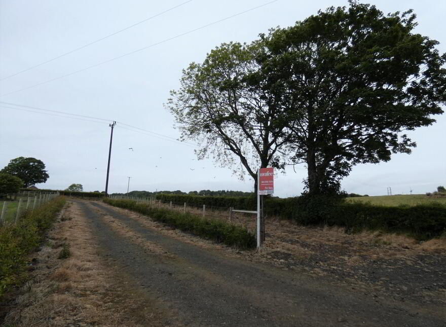 Site For Replacement Dwelling, 117 Castlecatt Road, Derrykeighan, Ballymoney, BT53 8AP