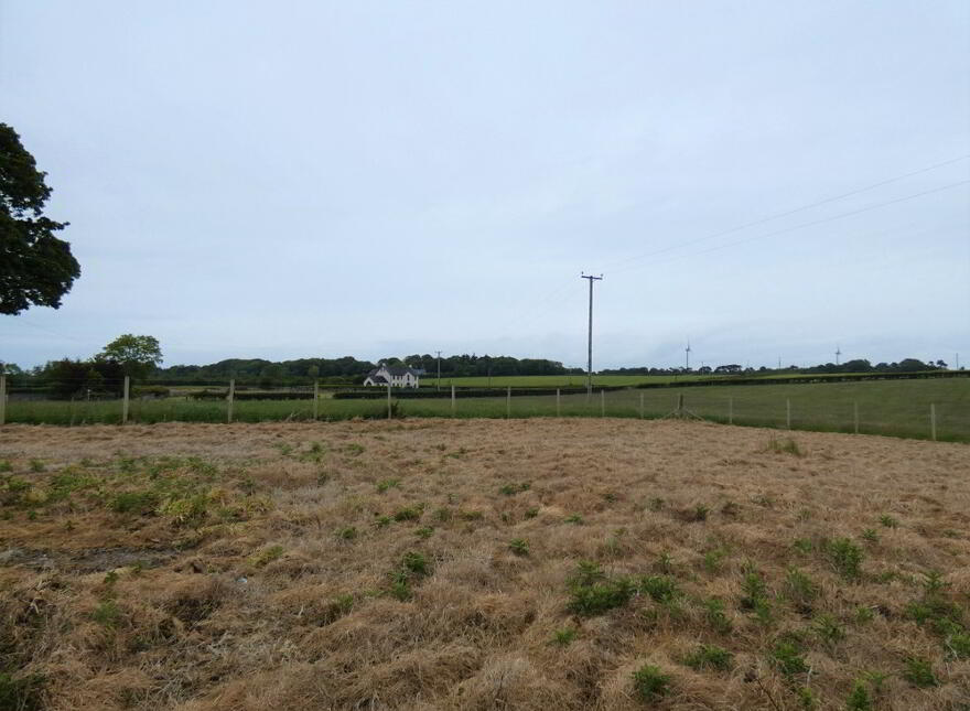 Site For Replacement Dwelling, 117 Castlecatt Road, Derrykeighan, Ballymoney, BT53 8AP
