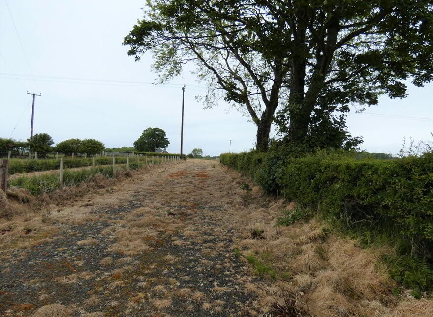 Site For Replacement Dwelling, 117 Castlecatt Road, Derrykeighan, Ballymoney, BT53 8AP