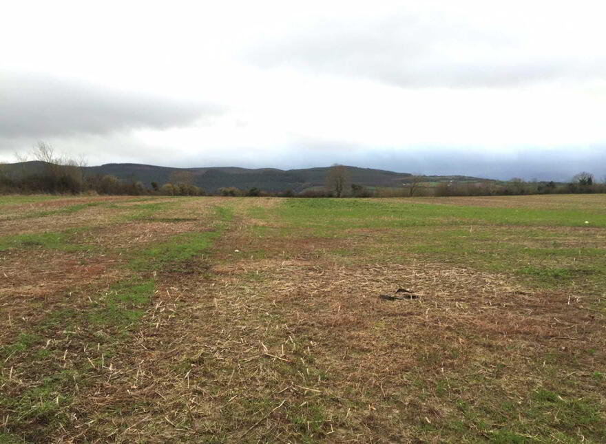 Kilnamac, West, Clonmel