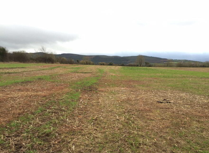Kilnamac, West, Clonmel