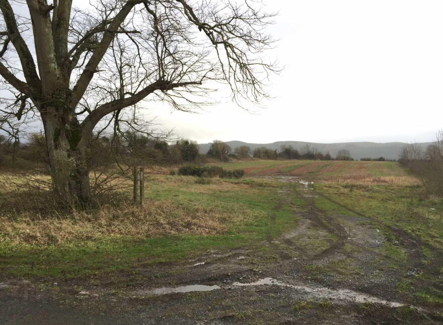 Kilnamac, West, Clonmel