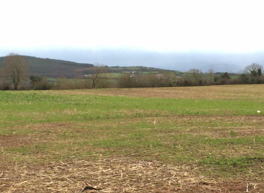 Kilnamac, West, Clonmel
