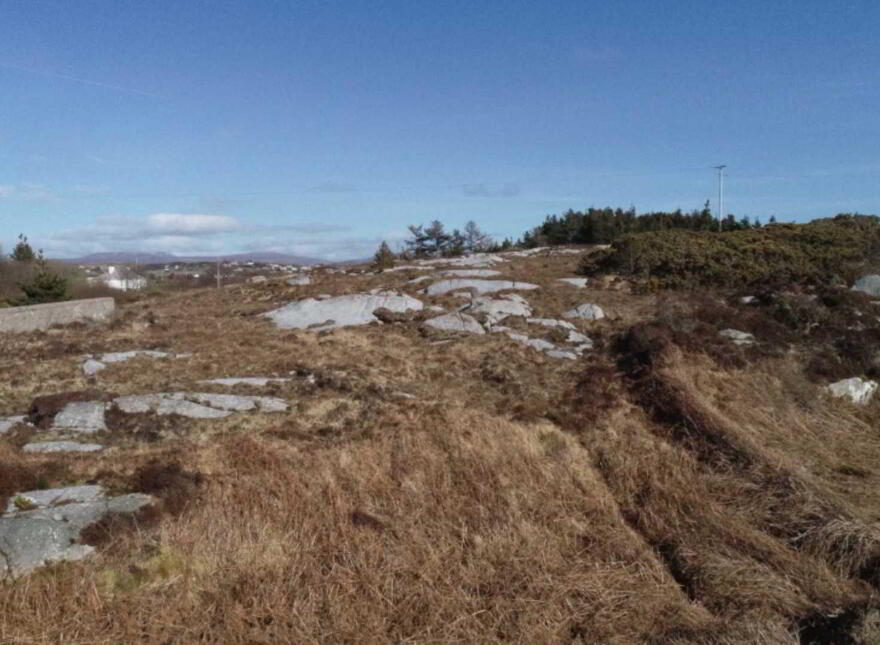 Meenmore, Dungloe